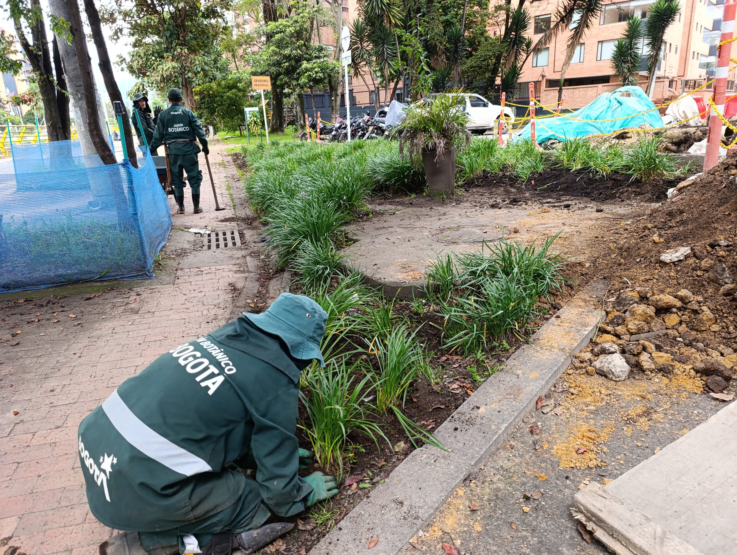 Historias del verde urbano: El rescate de la segunda jardinera más grande de Chapinero
