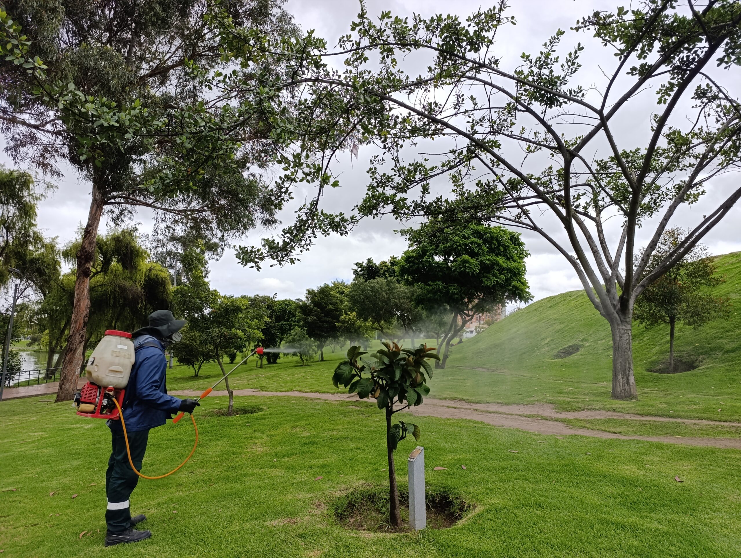 Historias del verde urbano: ¡Nutrición arbórea en el parque Timiza!