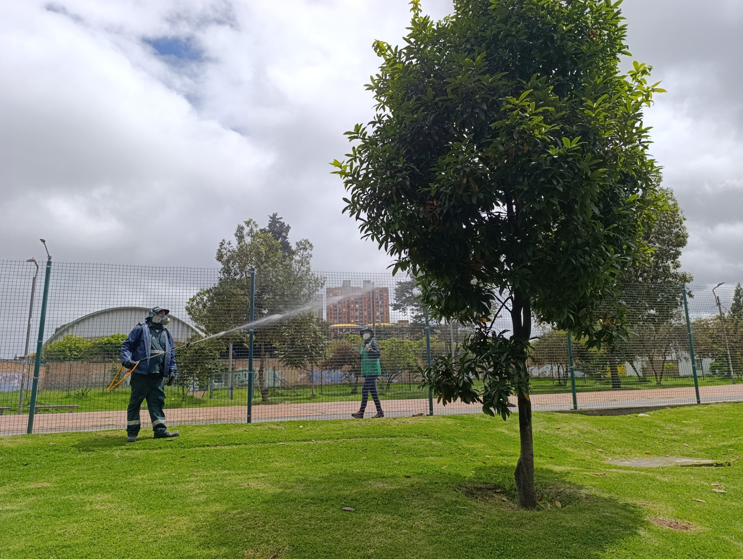 Historias del verde urbano: ¡Nutrición arbórea en el parque Timiza!