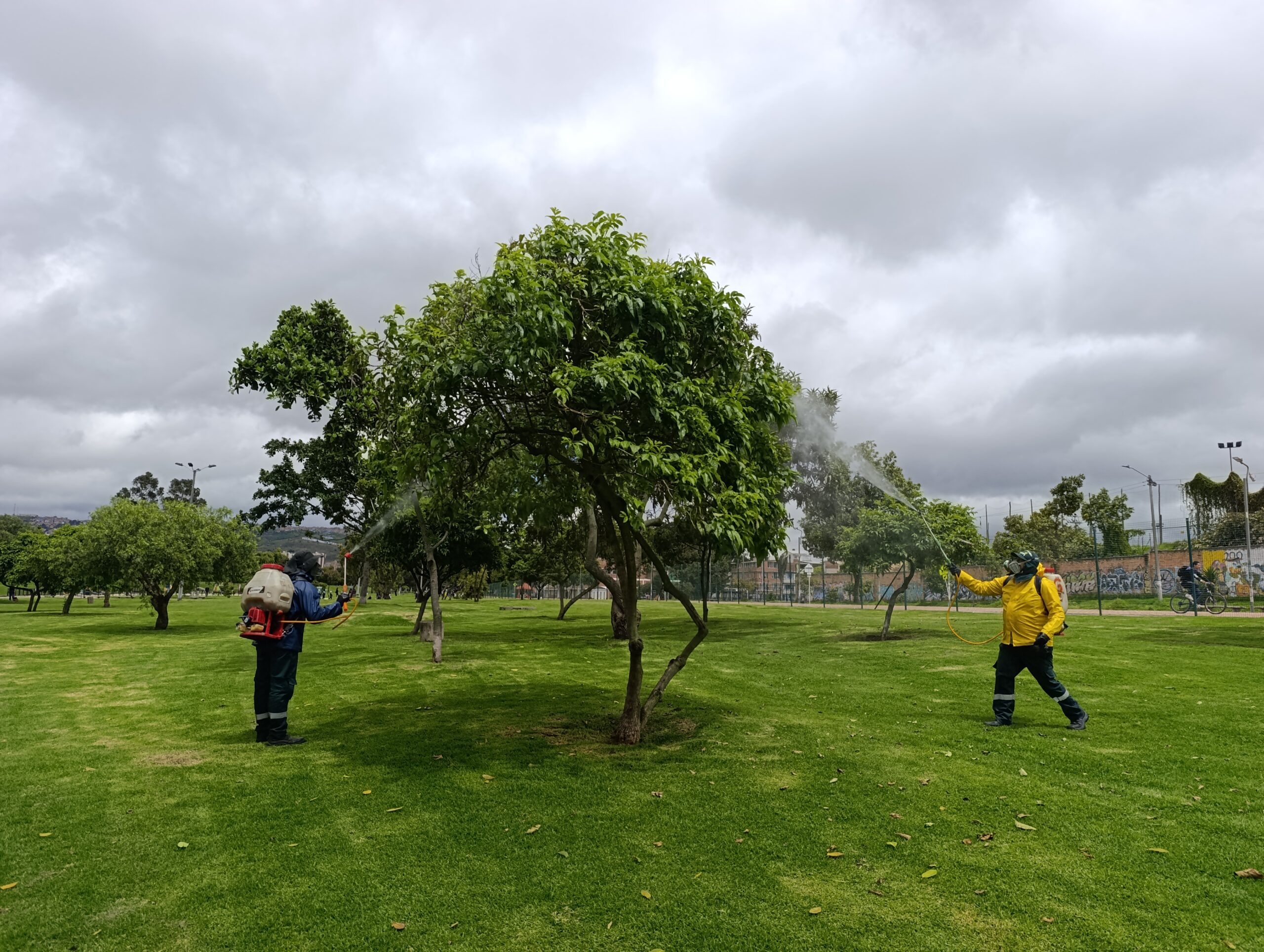 Historias del verde urbano: ¡Nutrición arbórea en el parque Timiza!