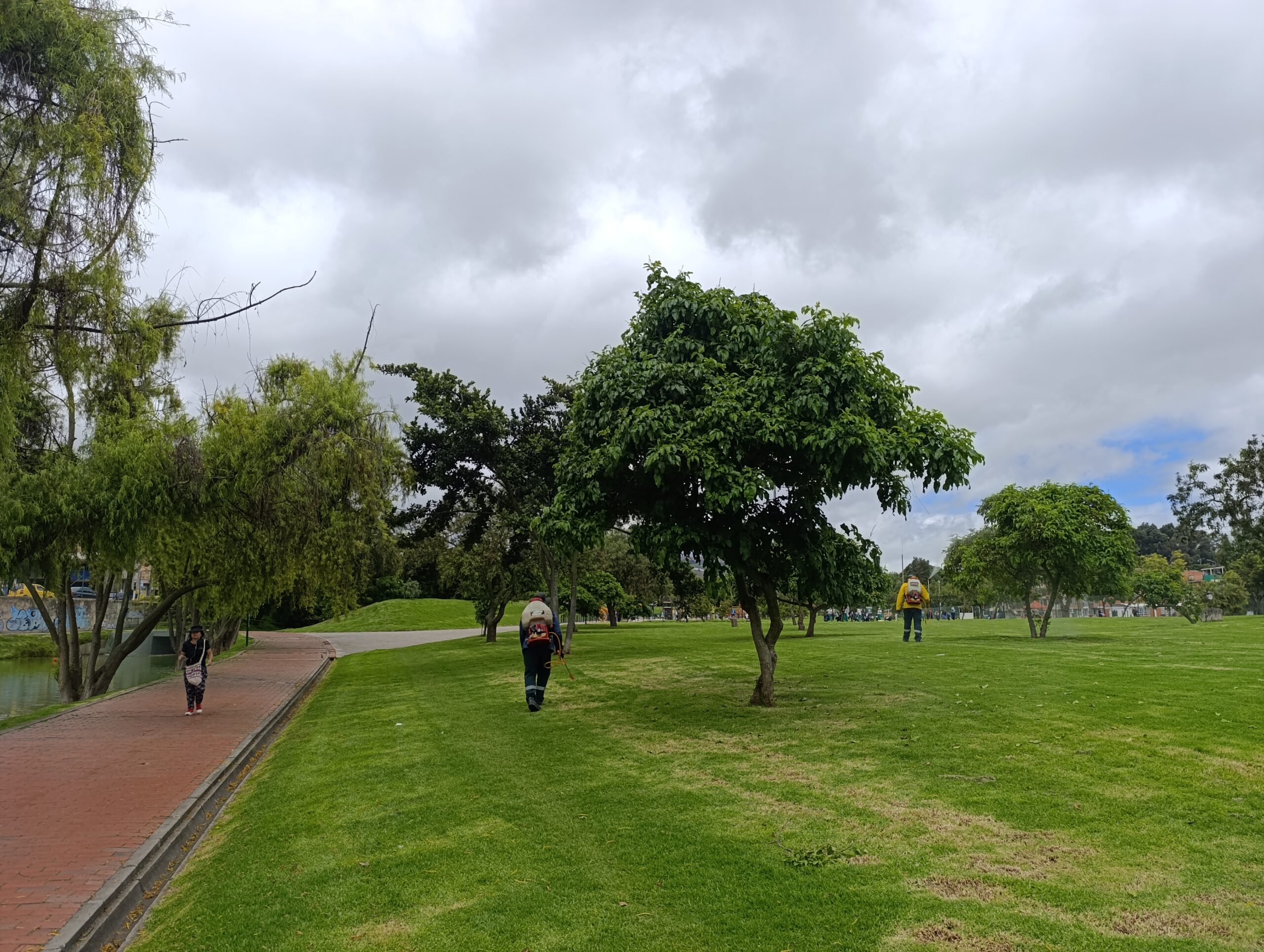 Historias del verde urbano: ¡Nutrición arbórea en el parque Timiza!