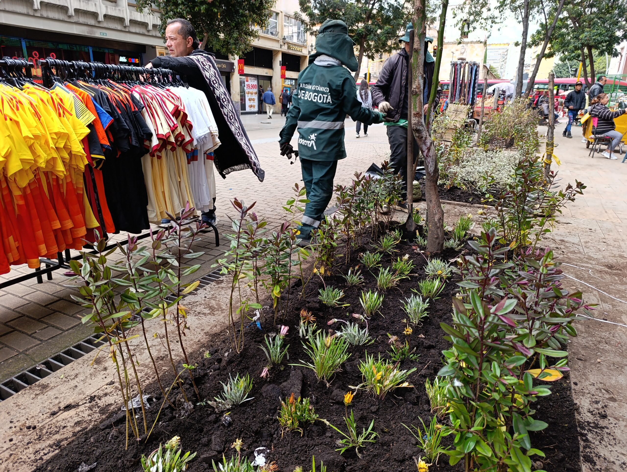 Historias del verde urbano: El nuevo vestido floreado de las jardineras de la carrera Séptima