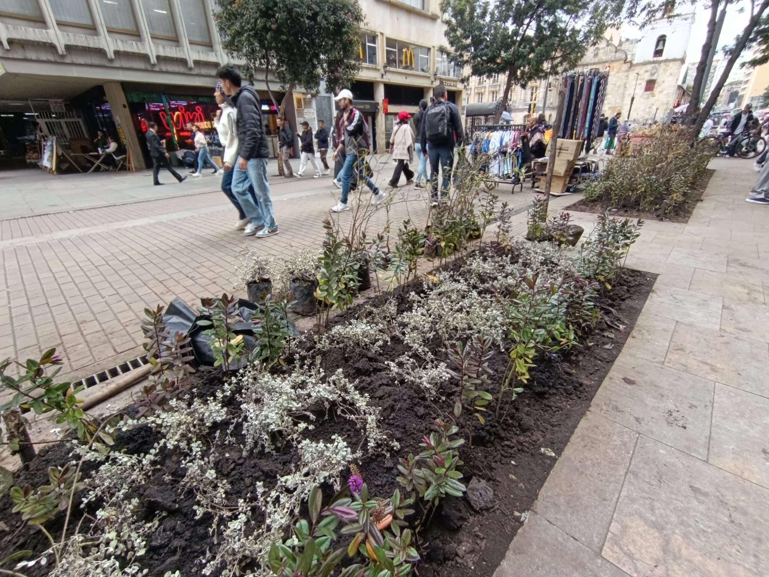 Historias del verde urbano: El nuevo vestido floreado de las jardineras de la carrera Séptima