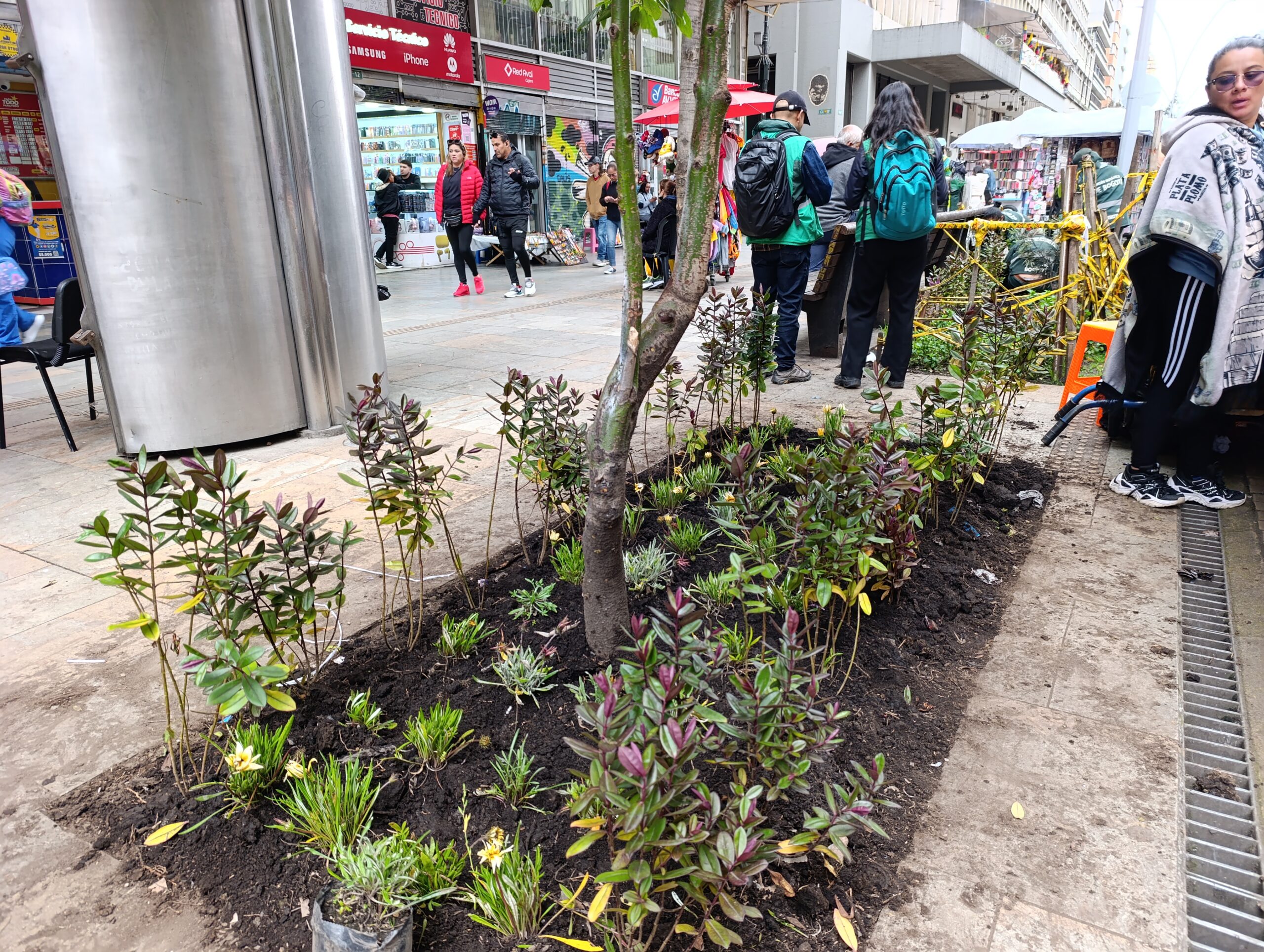 Historias del verde urbano: El nuevo vestido floreado de las jardineras de la carrera Séptima