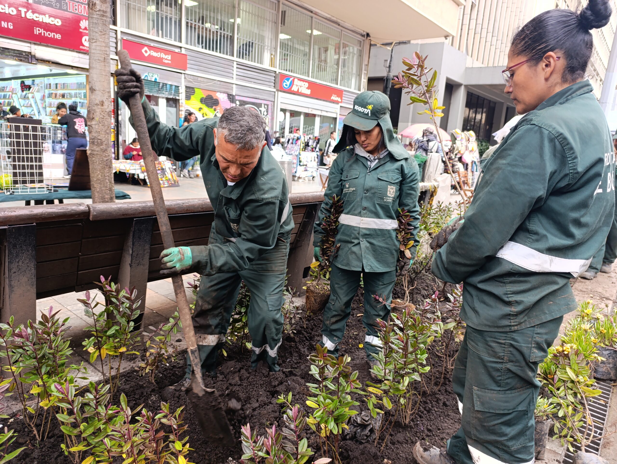 Historias del verde urbano: El nuevo vestido floreado de las jardineras de la carrera Séptima