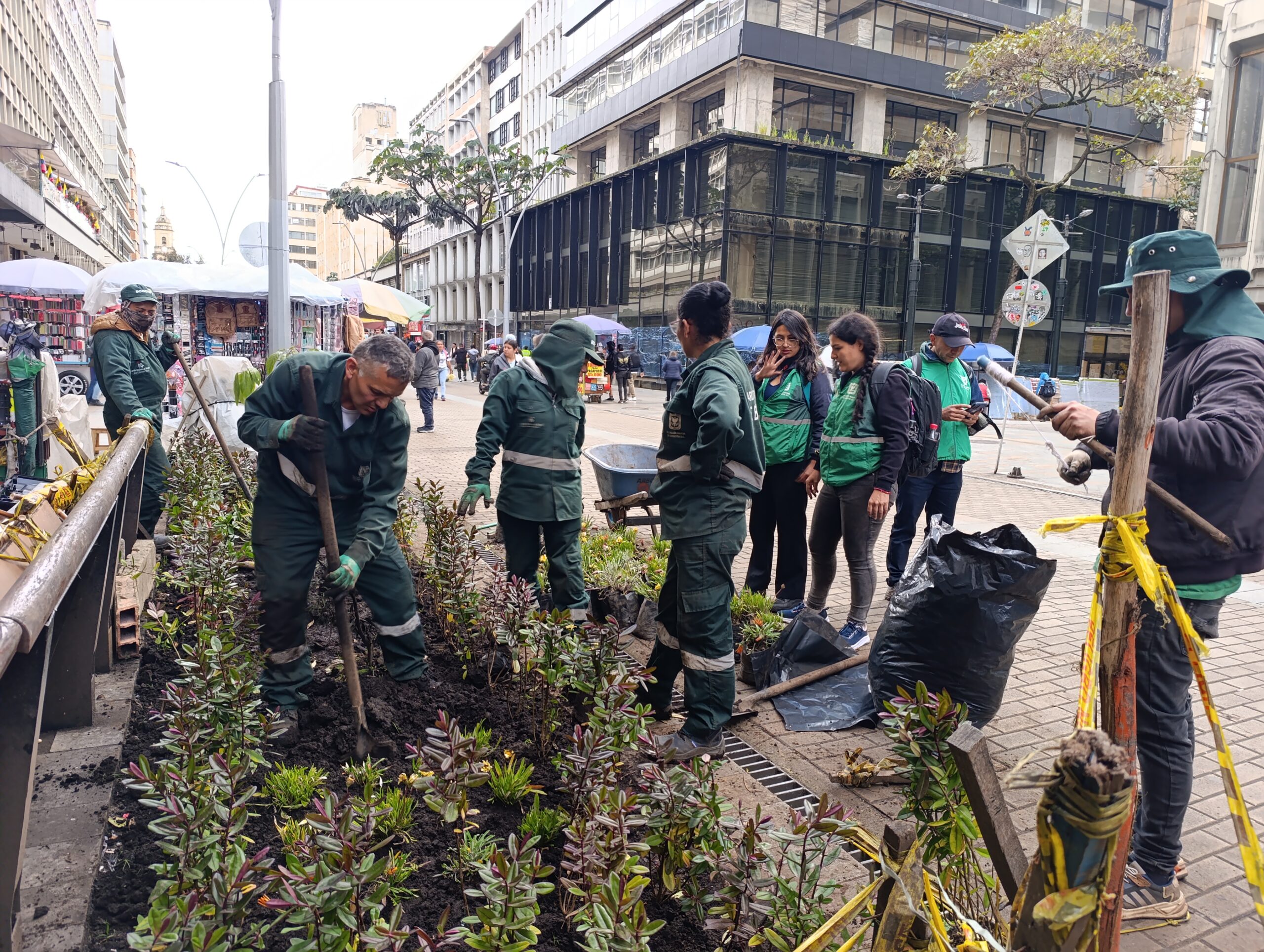 Historias del verde urbano: El nuevo vestido floreado de las jardineras de la carrera Séptima