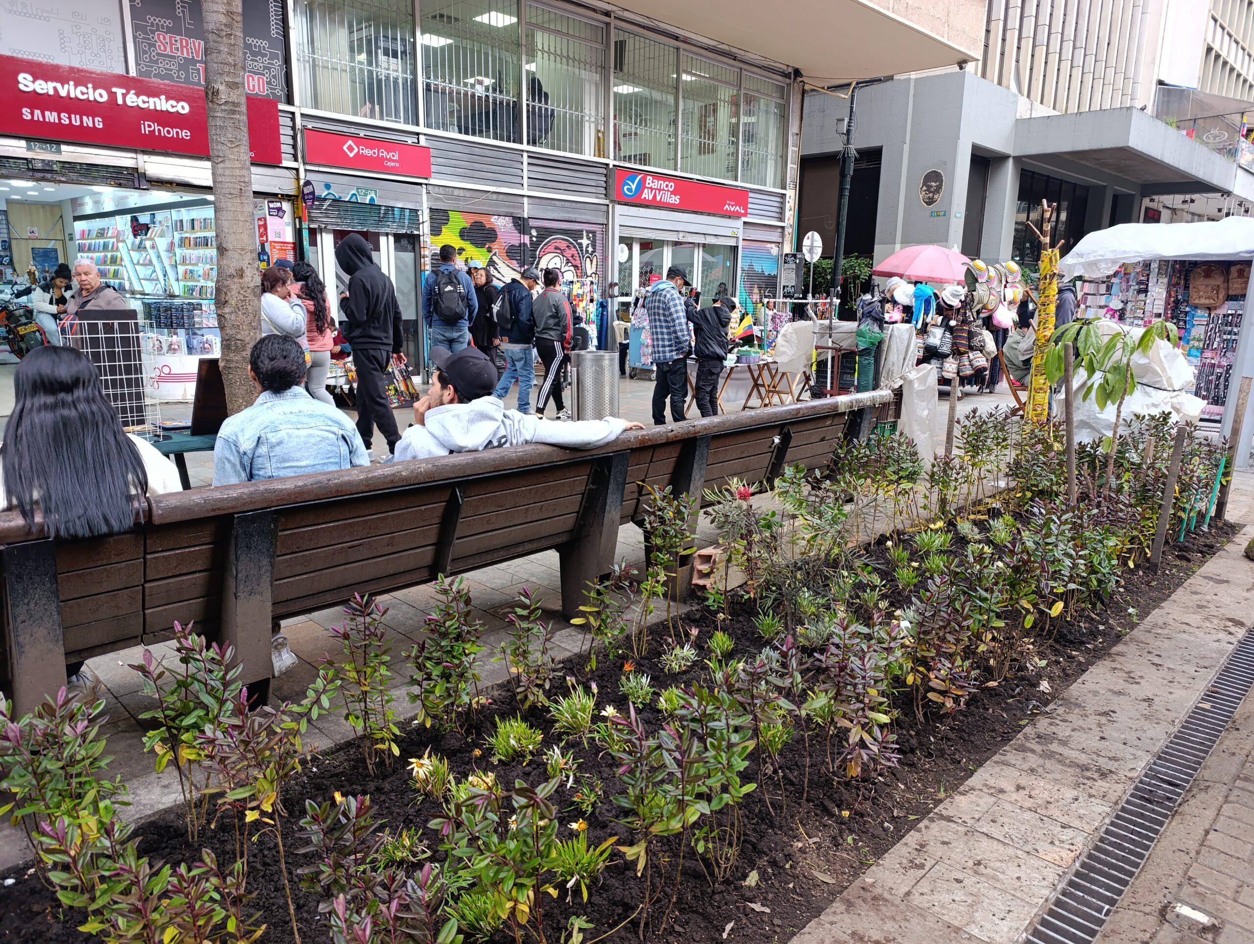 Historias del verde urbano: El nuevo vestido floreado de las jardineras de la carrera Séptima