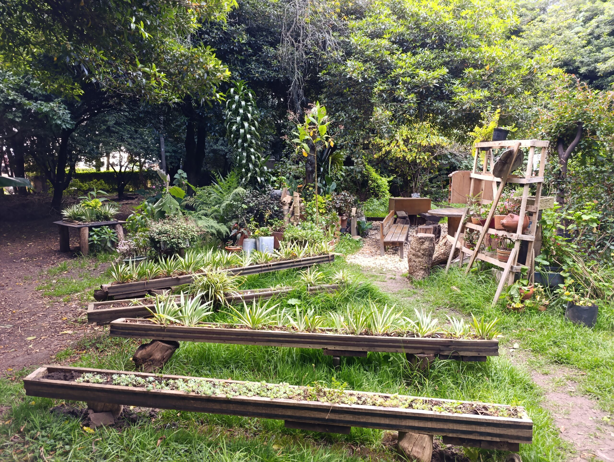Historias del verde urbano: “Encontrémonos en los bosques urbanos” llegó a La Esmeralda