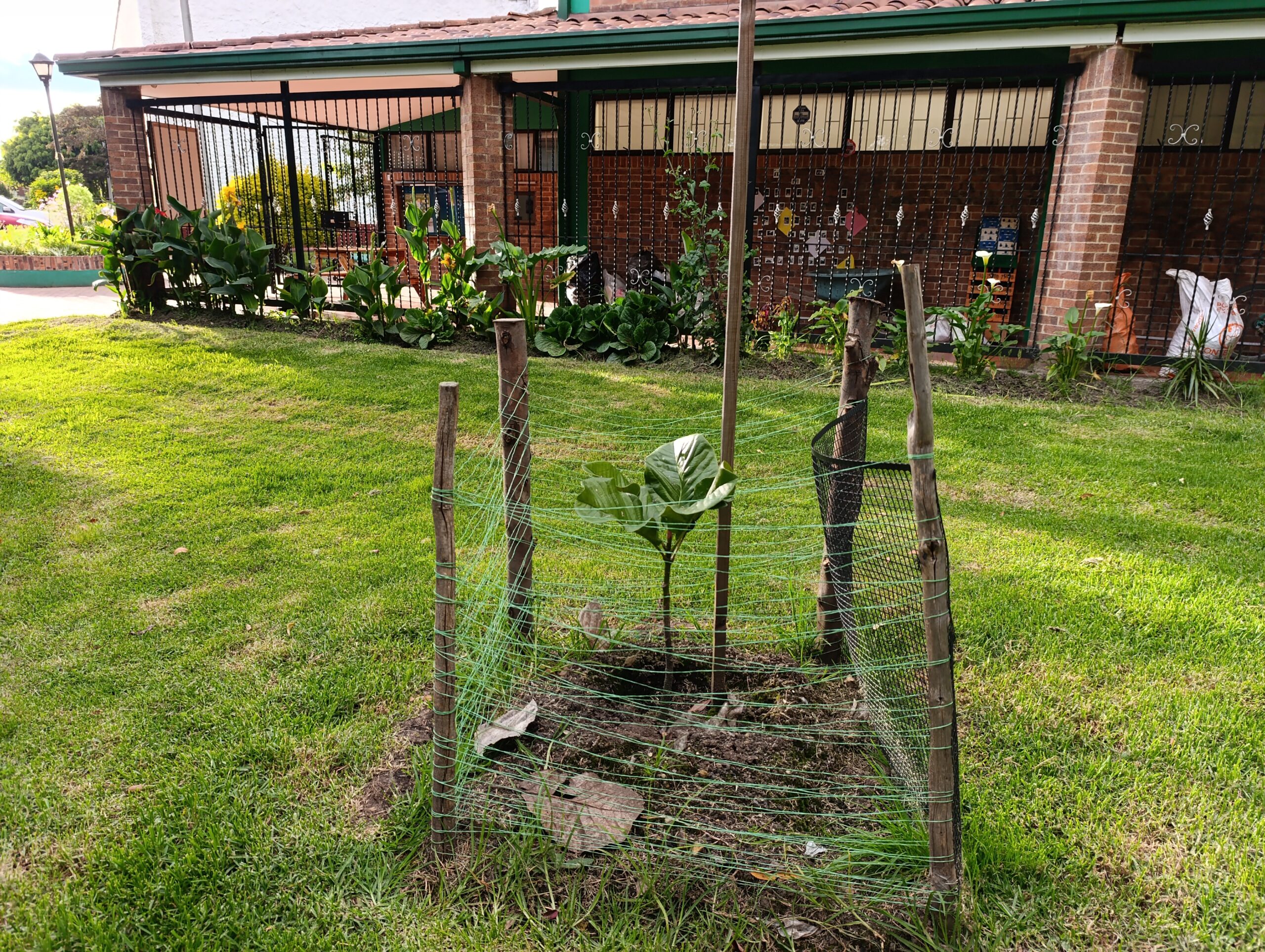 Historias del verde urbano: “Encontrémonos en los bosques urbanos” llegó a La Esmeralda