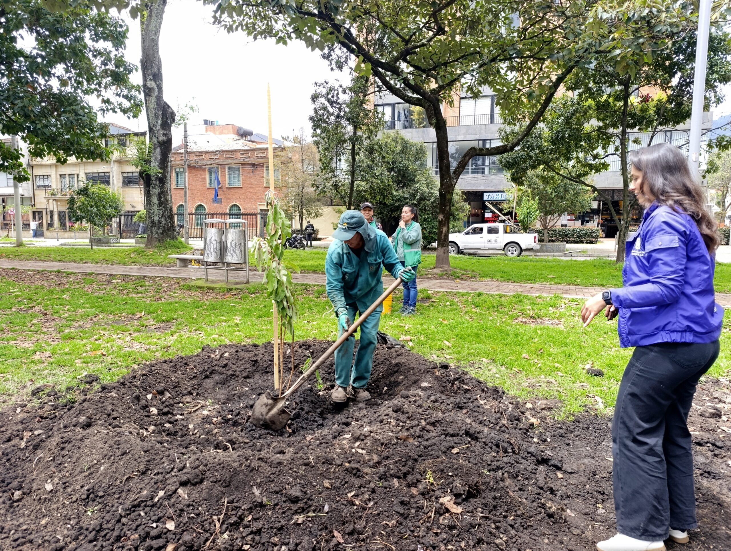 Historias del verde urbano: Los nuevos hijos verdes del Parkway