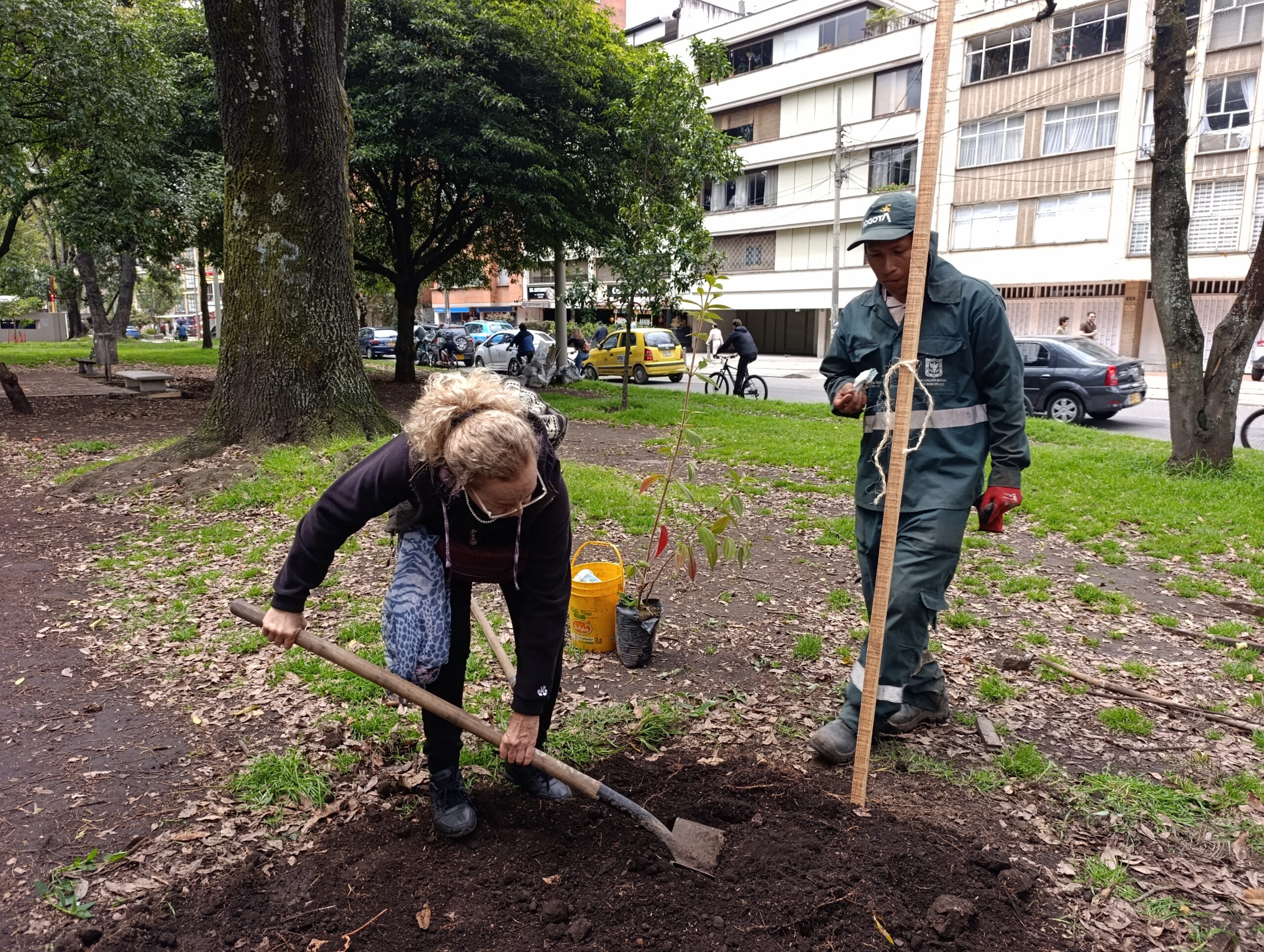 Historias del verde urbano: Los nuevos hijos verdes del Parkway