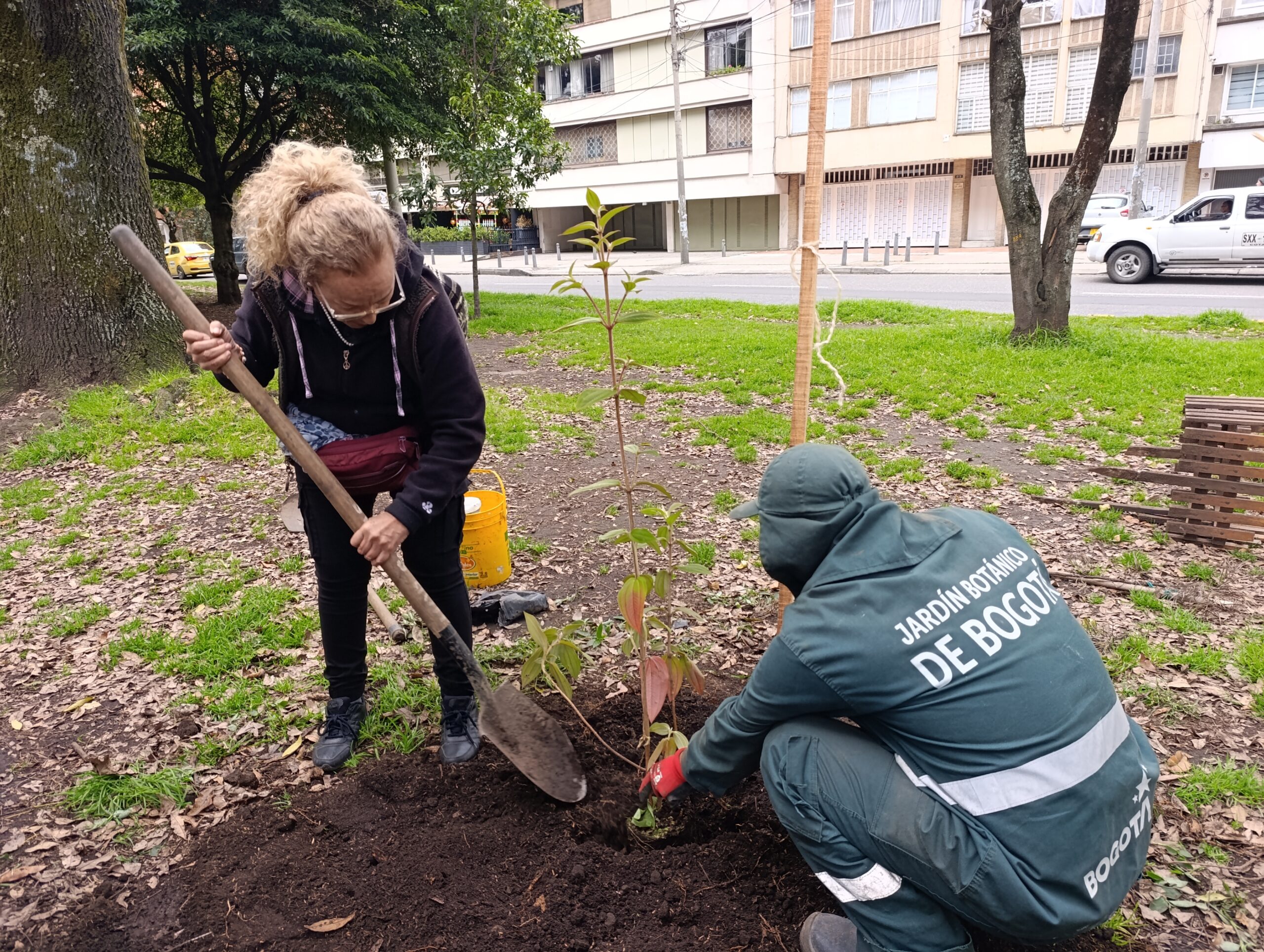 Historias del verde urbano: Los nuevos hijos verdes del Parkway