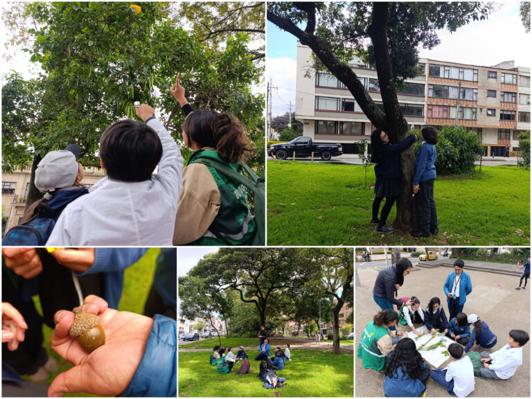 Historias del verde urbano: Caminata sensorial por el bosque urbano del Parkway