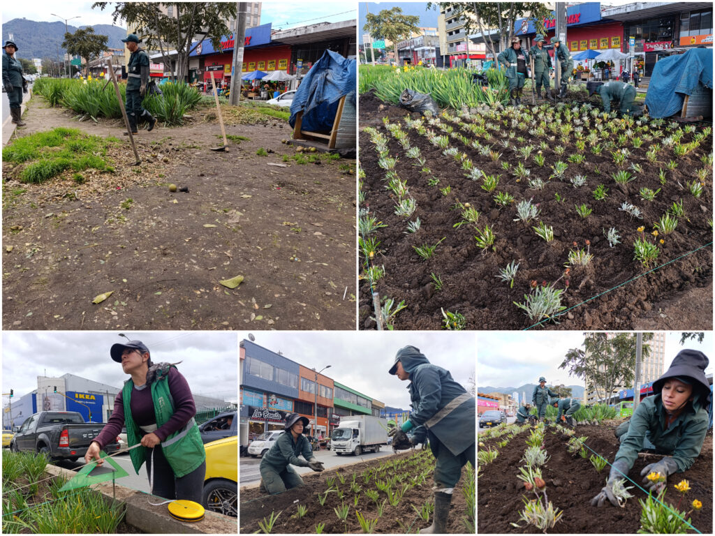 Historias del verde urbano: Paloquemao: una jardinera en vía de recuperación