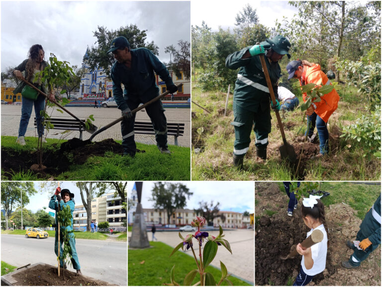 Historias del verde urbano: Bogotá celebró el Día Mundial del Medio Ambiente con la plantación de cerca de 1.000 árboles y arbustos