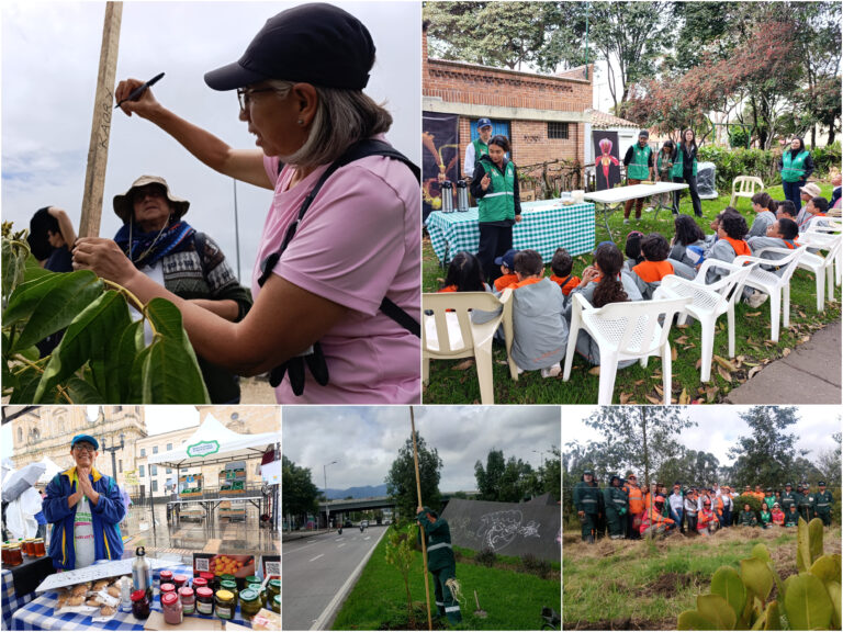 Historias del verde urbano: La fiesta verde que renaturalizó varias zonas de Bogotá