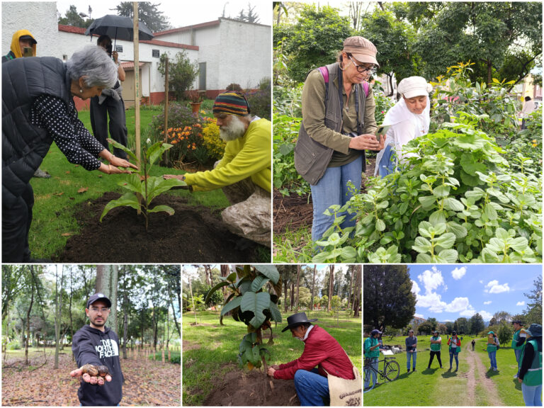 Historias del verde urbano: “Encontrémonos en los bosques urbanos”: la nueva estrategia social y técnica del Jardín Botánico