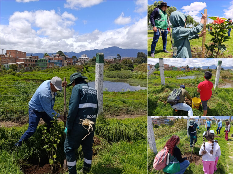 Historias del verde urbano: Los 30 nuevos vecinos verdes del humedal Tingua Azul