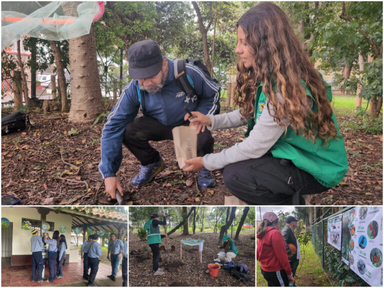 Historias del verde urbano: Ciudad Montes: un bosque urbano que sigue sumando proyectos liderados por la comunidad