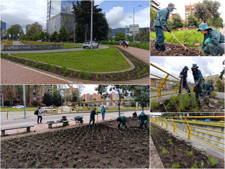 Historias del verde urbano: El rescate de la segunda jardinera más grande de Chapinero