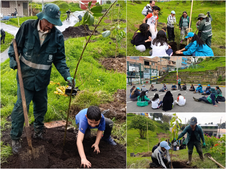 Historias del verde urbano: Altos del Virrey: un parque que quiere convertirse en el primer bosque urbano de San Cristóbal