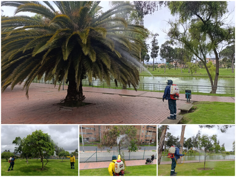 Historias del verde urbano: ¡Nutrición arbórea en el parque Timiza!