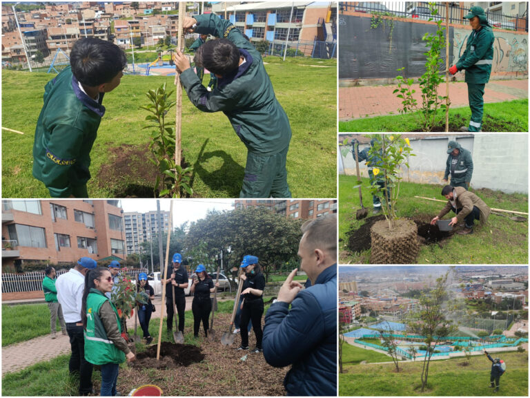 Historias del verde urbano: Bogotá avanza en la recuperación de su arbolado urbano