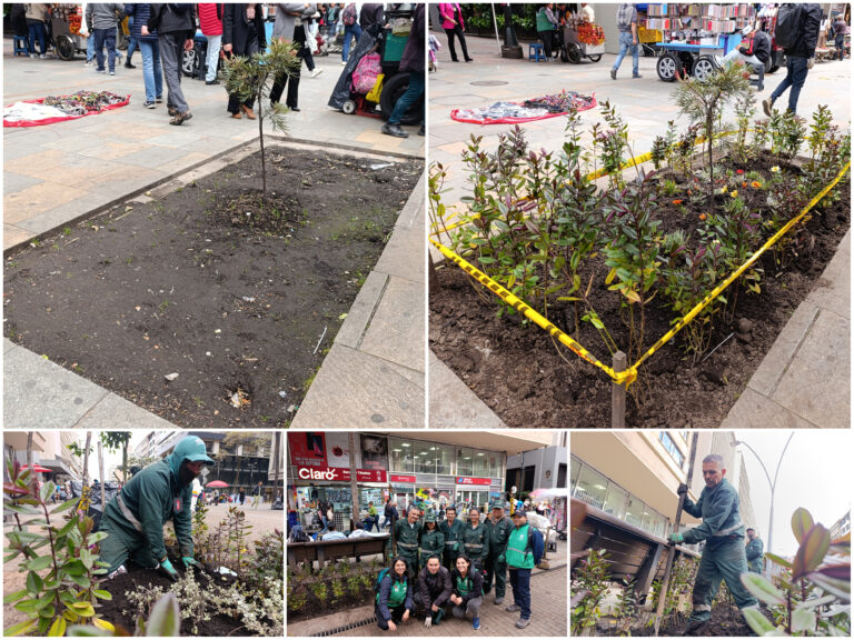 Historias del verde urbano: El nuevo vestido floreado de las jardineras de la carrera Séptima