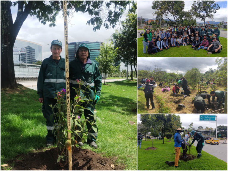 Historias del verde urbano: Homenaje al suelo en la calle 26 y la reserva Thomas van der Hammen
