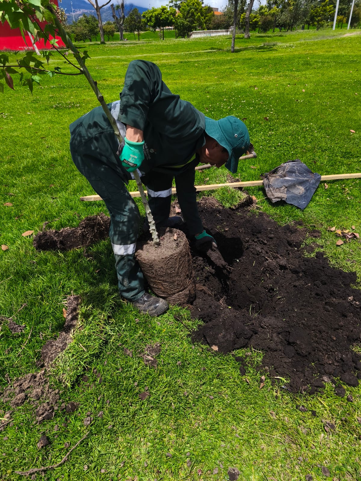 Historias del verde urbano: El pulmón de Tunjuelito robustece su arbolado