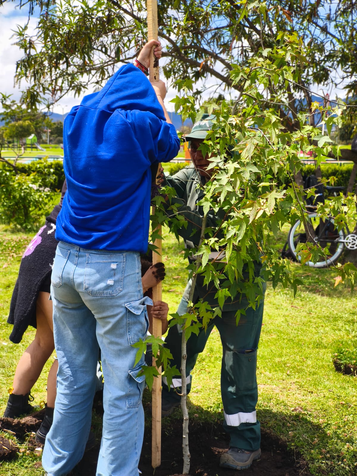 Historias del verde urbano: El pulmón de Tunjuelito robustece su arbolado