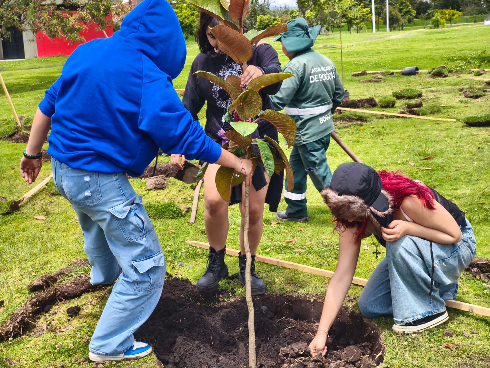 Historias del verde urbano: El pulmón de Tunjuelito robustece su arbolado