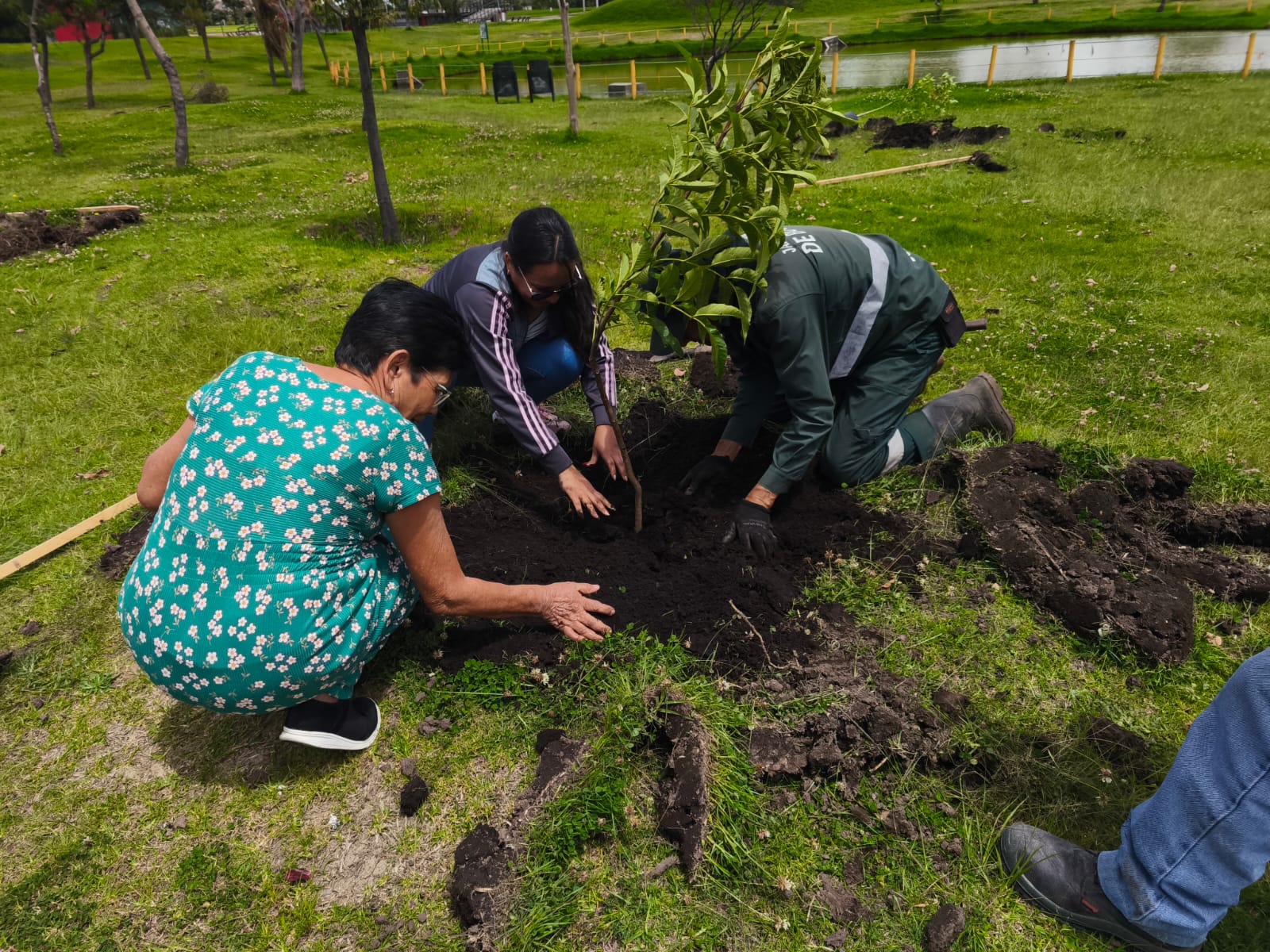 Historias del verde urbano: El pulmón de Tunjuelito robustece su arbolado