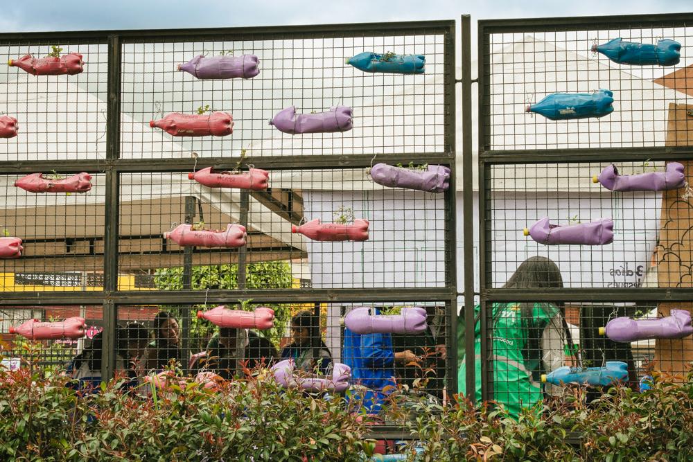 Semillas de Aprendizaje y Huertas de Esperanza en Bosa