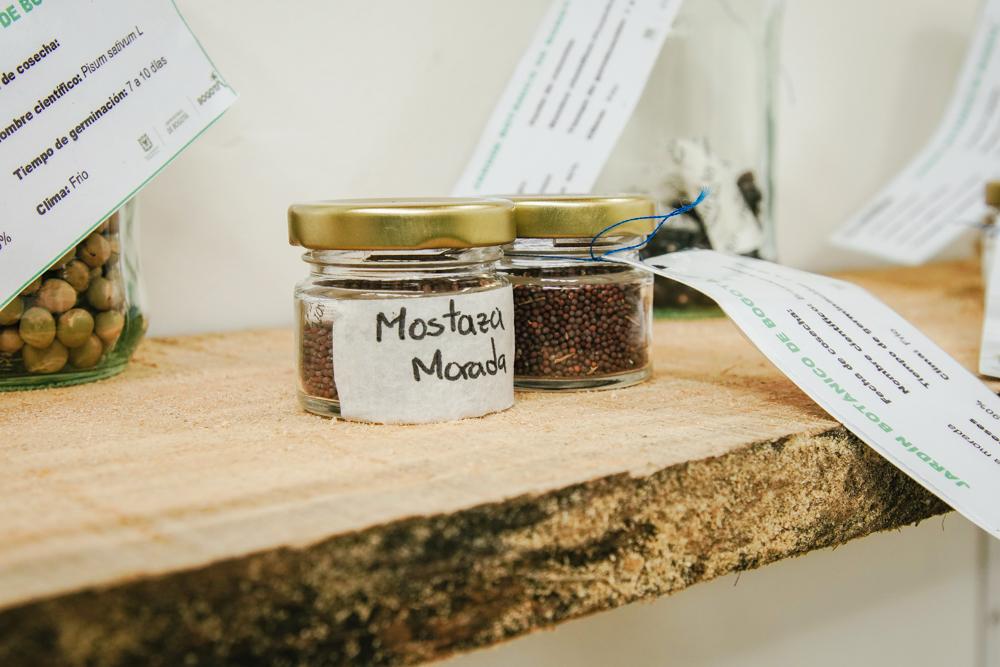 Semillas de Aprendizaje y Huertas de Esperanza en Bosa