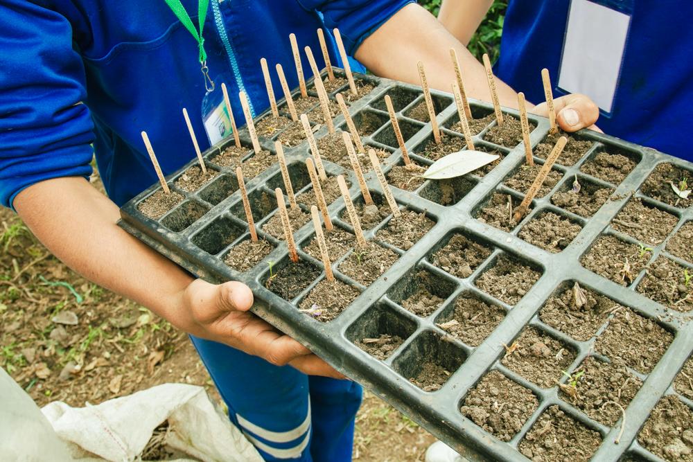 Semillas de Aprendizaje y Huertas de Esperanza en Bosa