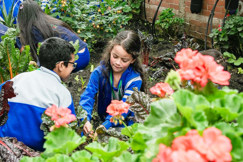 Semillas de Aprendizaje y Huertas de Esperanza en Bosa