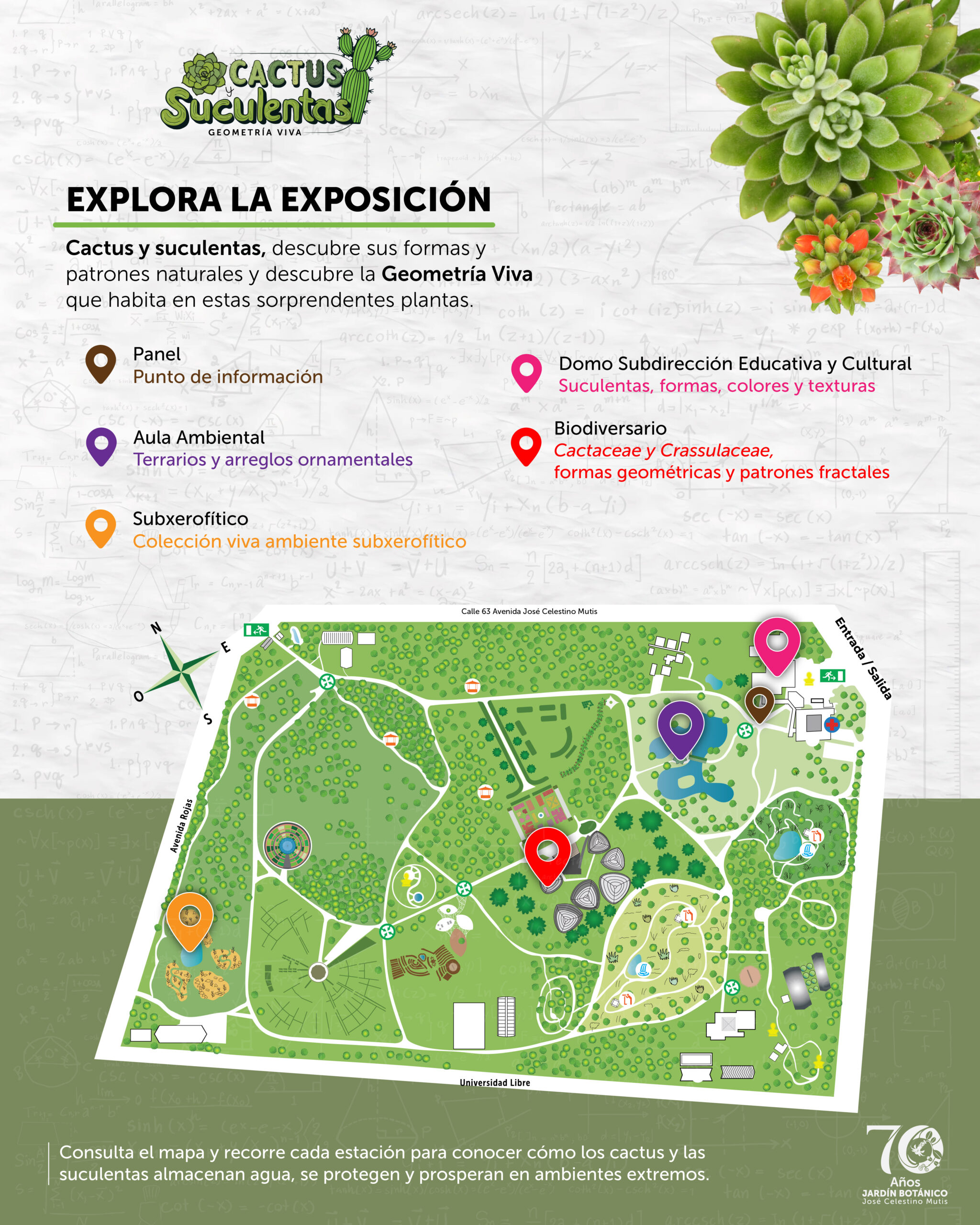 mapa EXPOSICION CACTUS