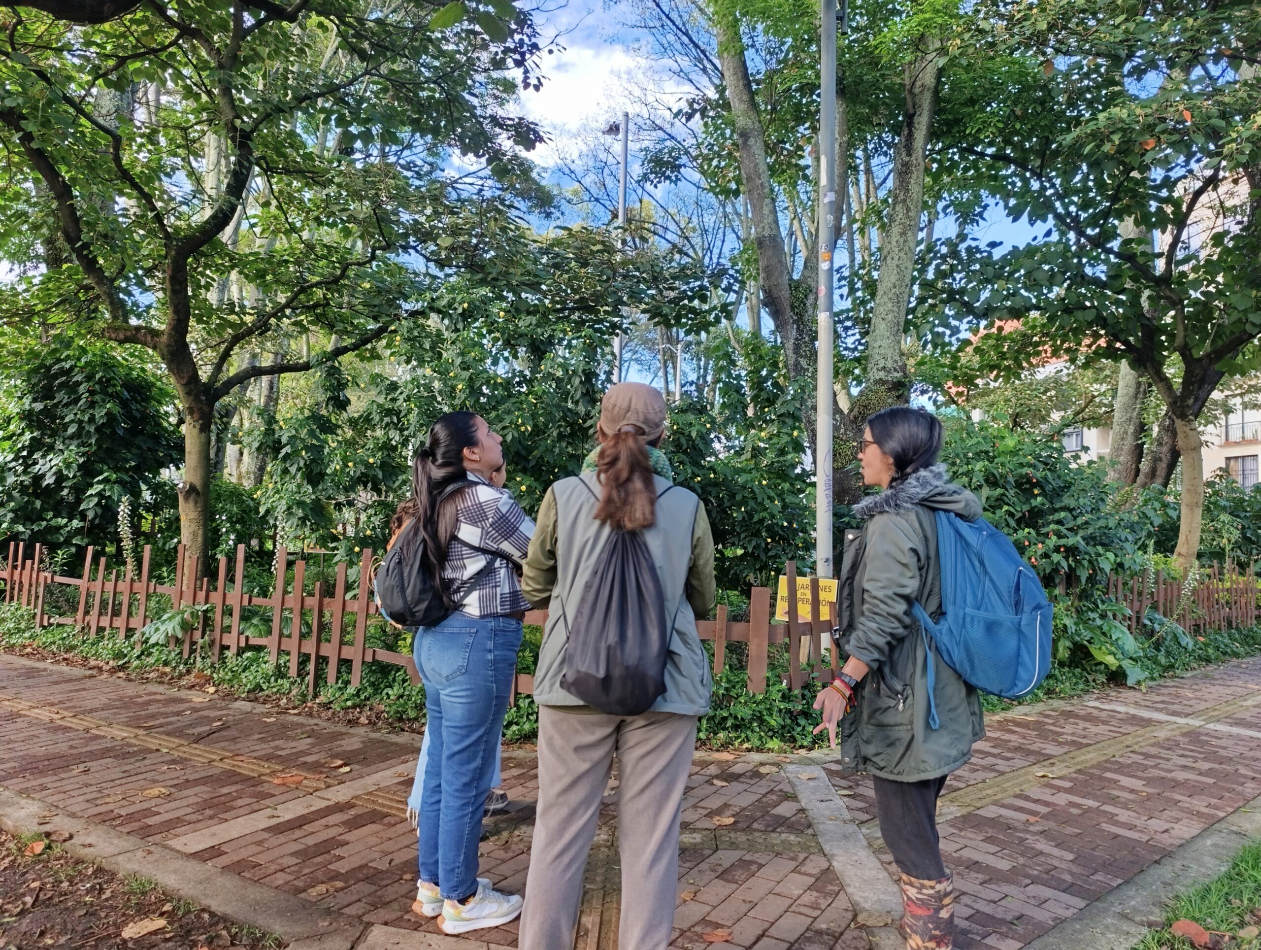 Historias del verde urbano: ¡Pajareando por los bosques urbanos!