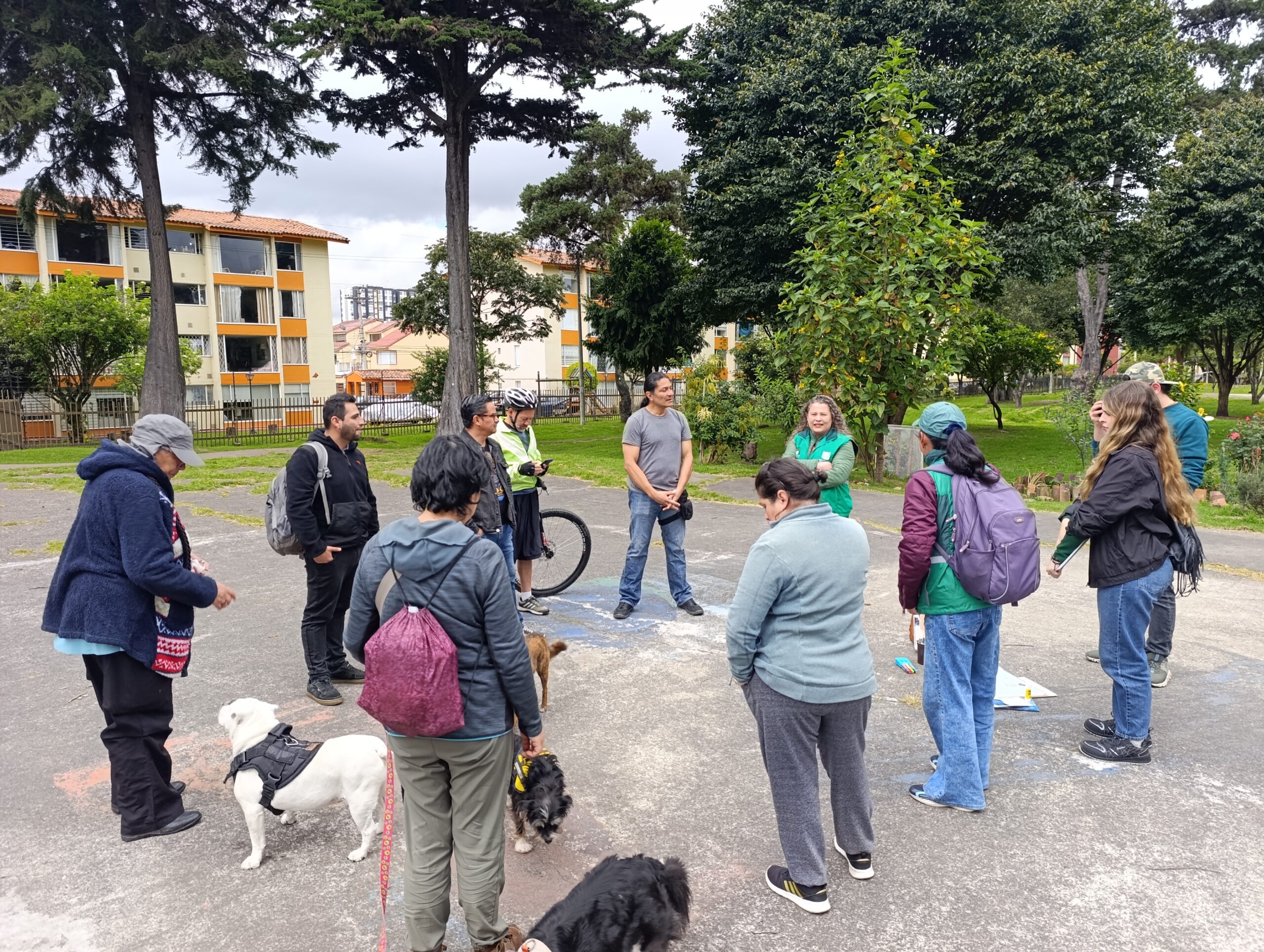 Historias del verde urbano: Bosques urbanos biofílicos: el nuevo proyecto de investigación aplicada del Jardín Botánico de Bogotá