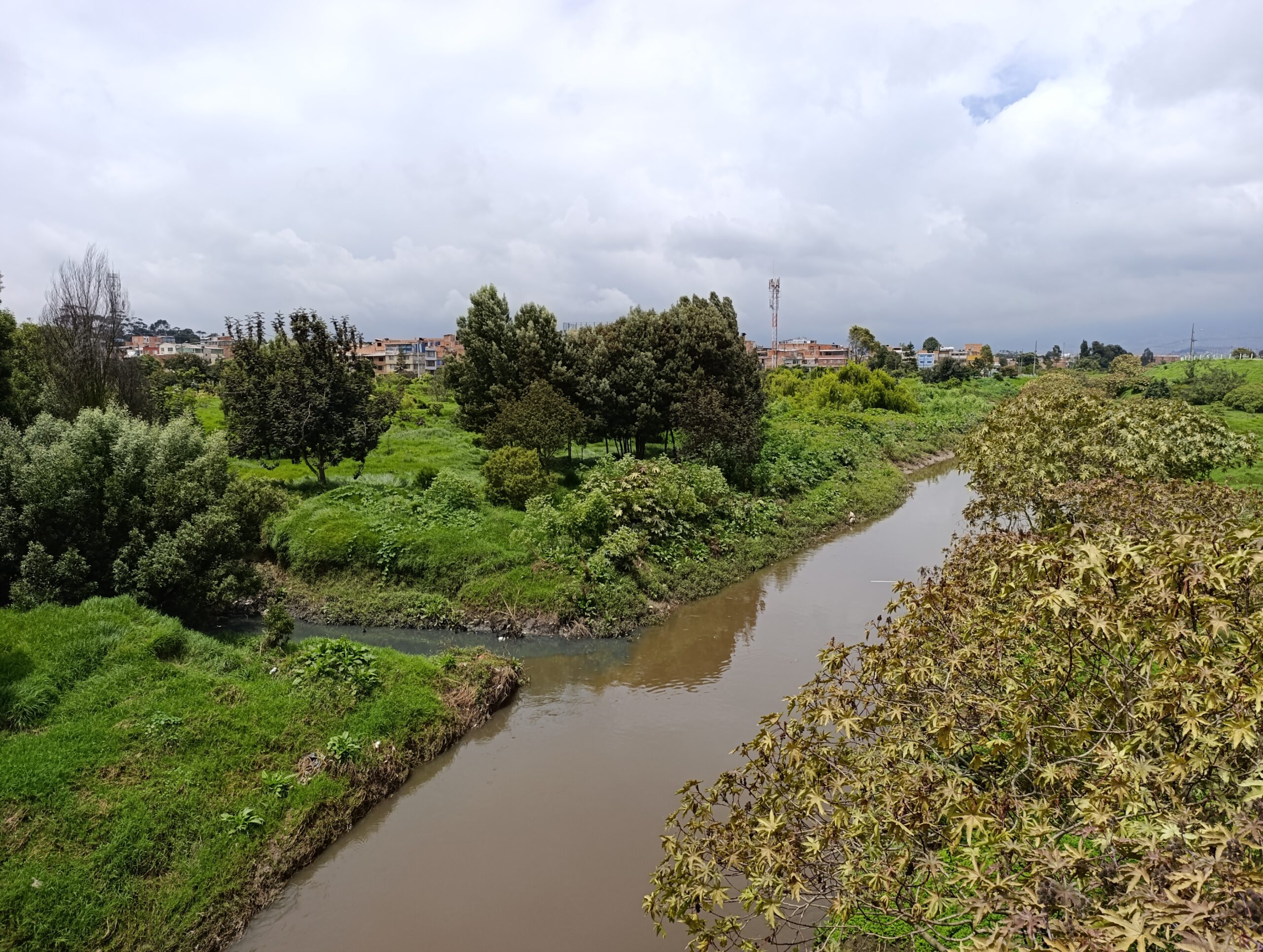 Historias del verde urbano: Colegios de Bosa: nuevos aliados en la renaturalización de la ciudad
