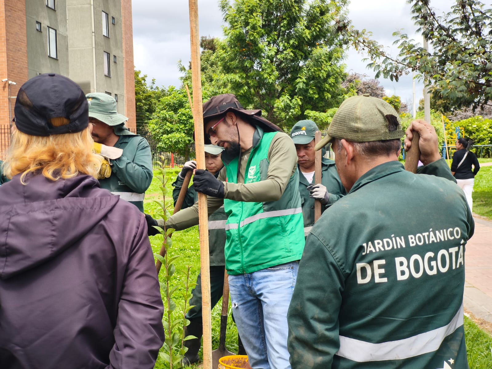 Historias del verde urbano: ¡Explosión verde en el sur de Bogotá!