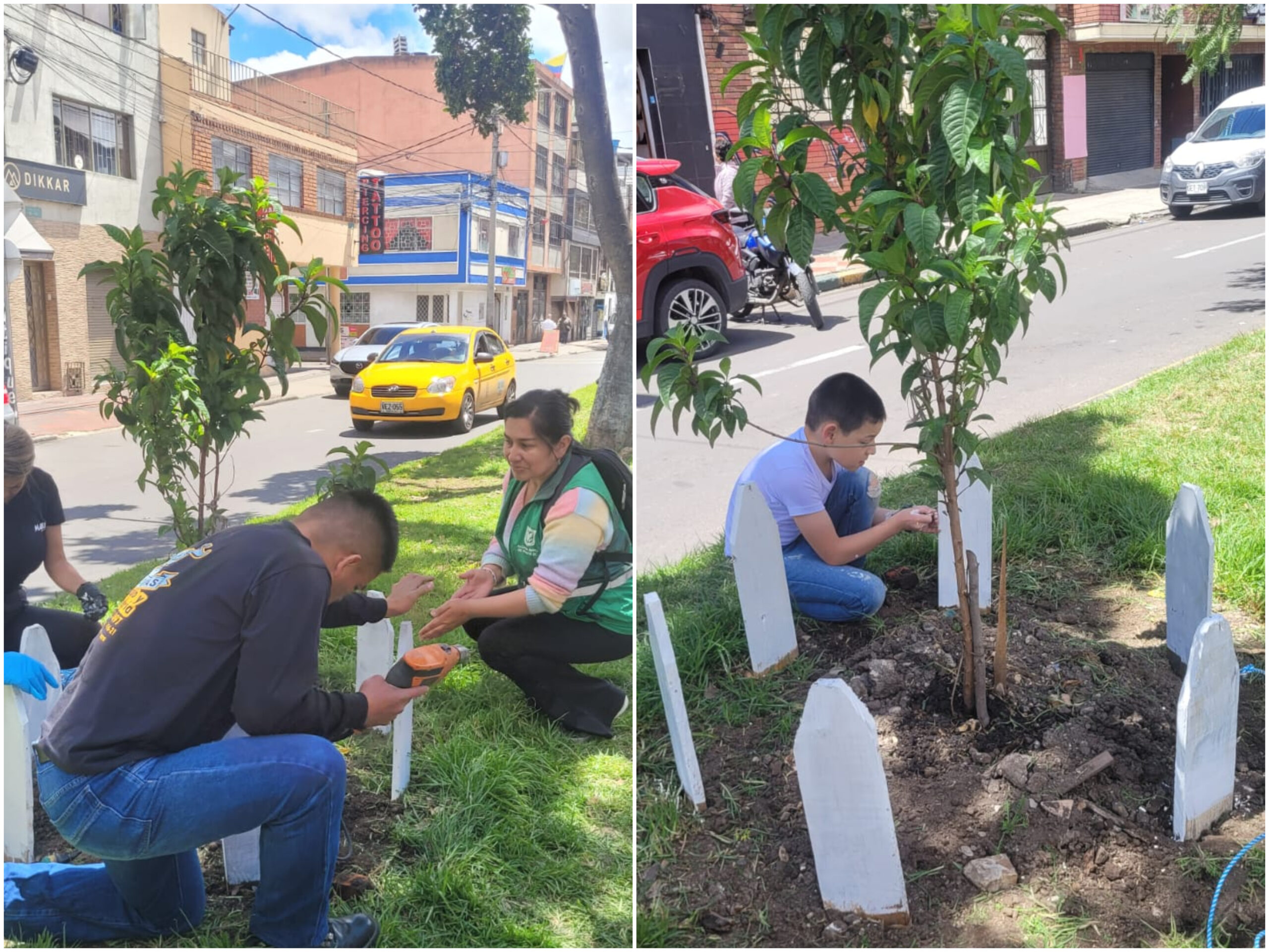 Historias del verde urbano: Jornada de embellecimiento en el barrio Restrepo