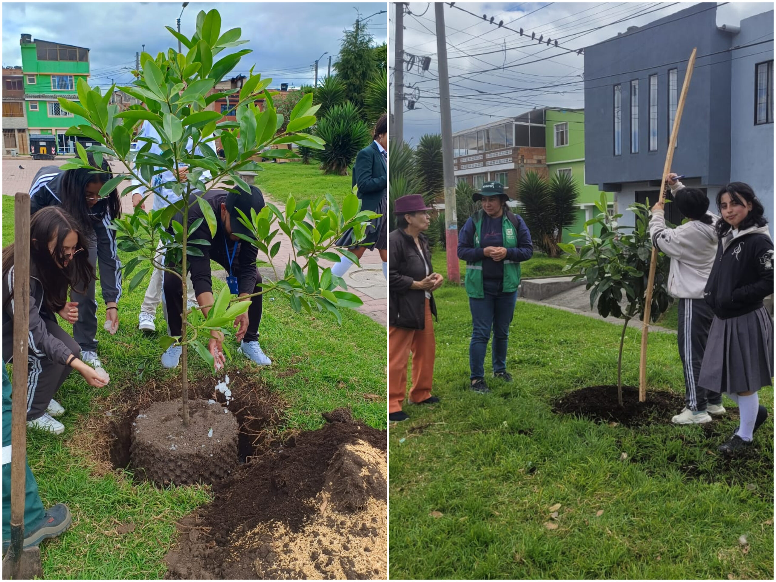 Historias del verde urbano: Estudiantes de colegio se convirtieron en guardianes del arbolado de Kennedy