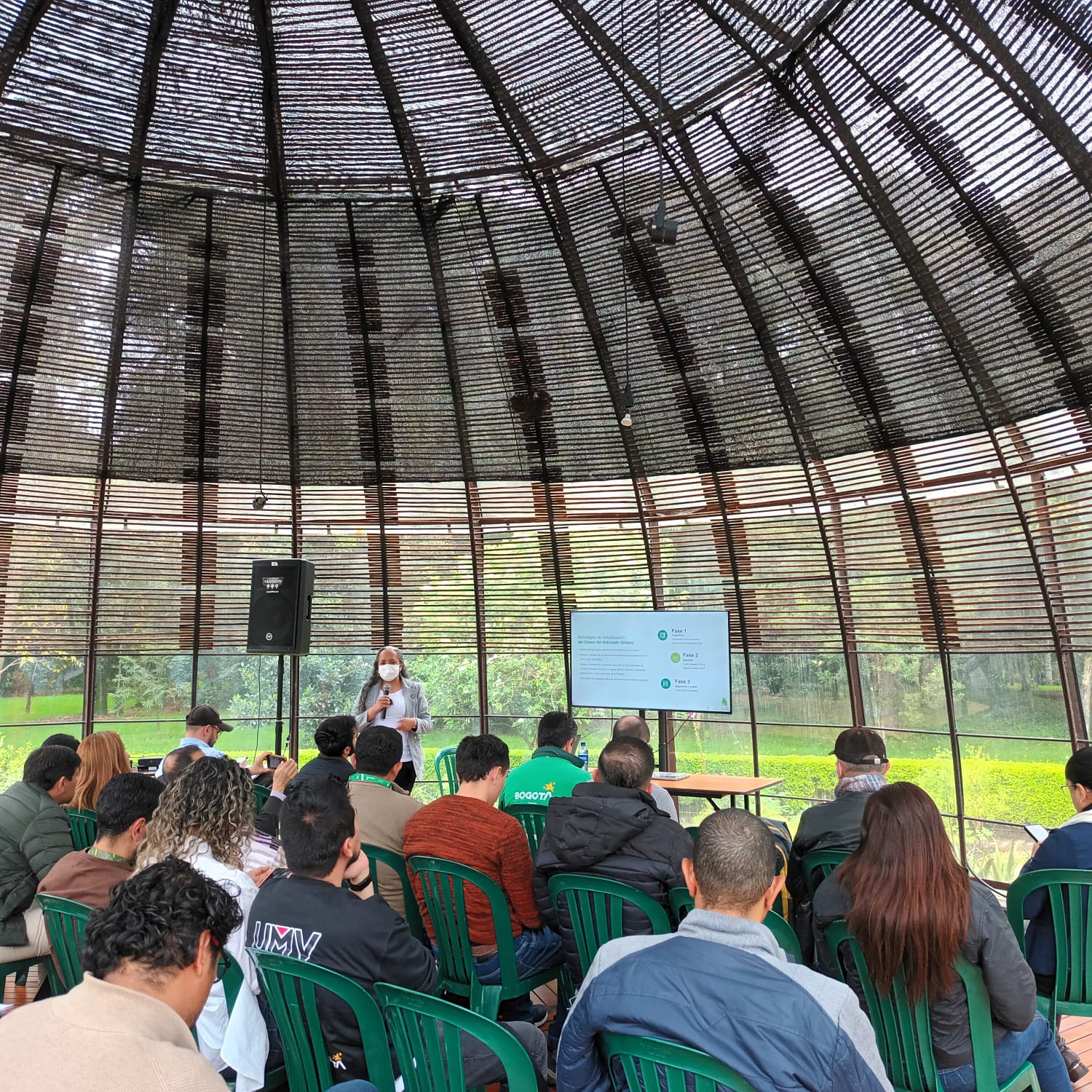 Historias del verde urbano: Bogotá inicia la actualización del censo de su arbolado urbano