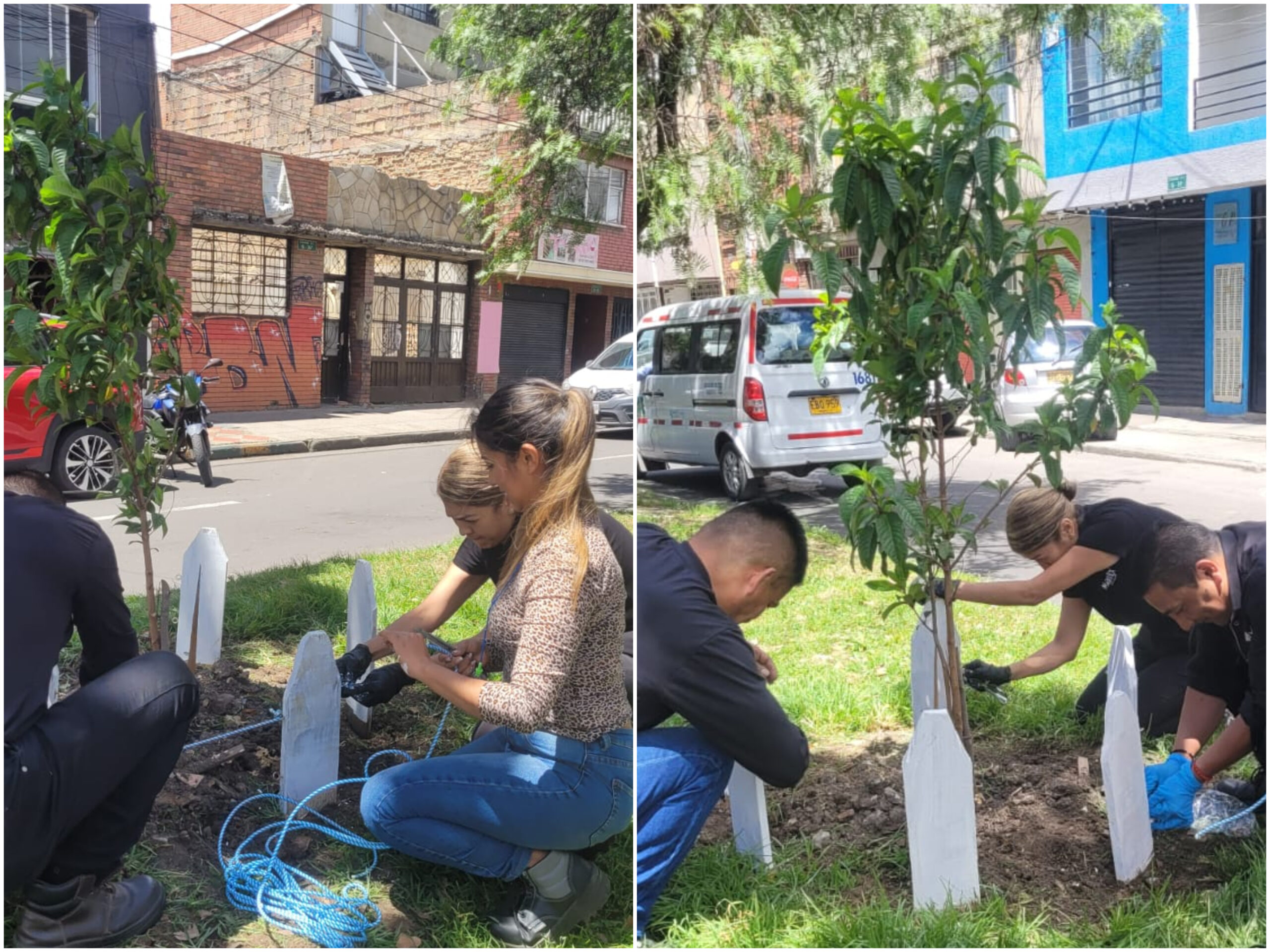 Historias del verde urbano: Jornada de embellecimiento en el barrio Restrepo