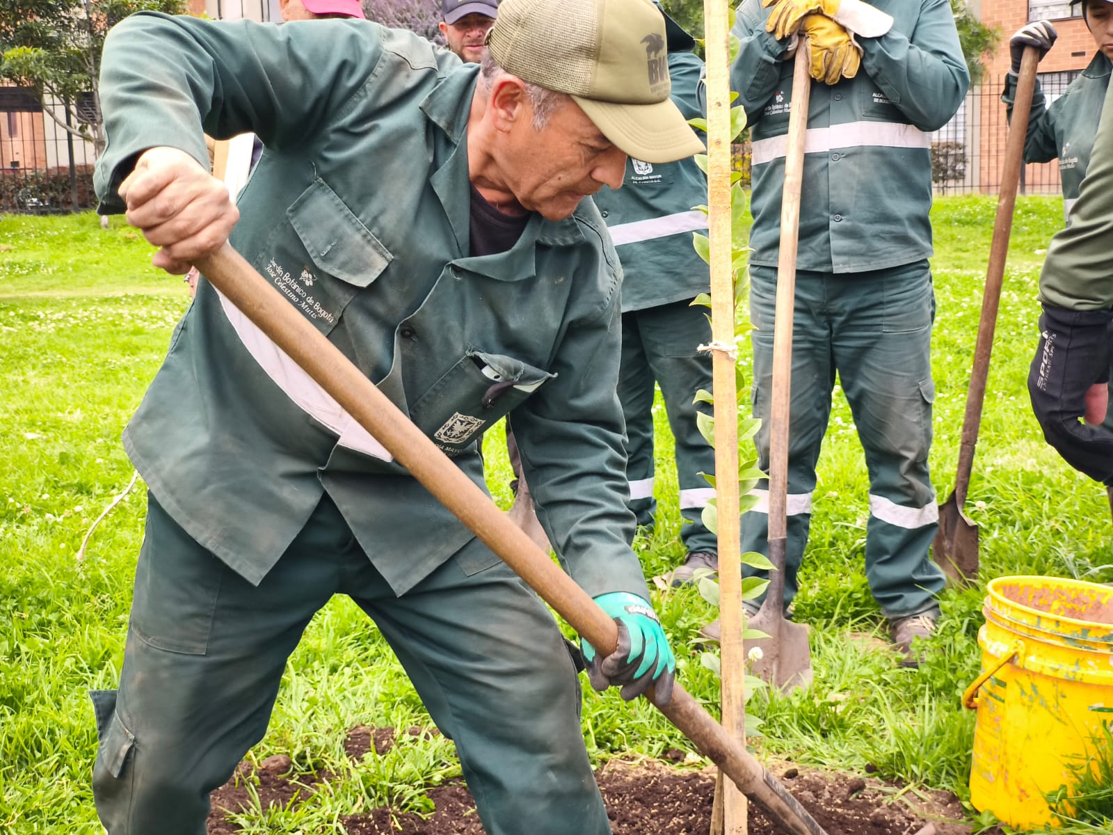 Historias del verde urbano: ¡Explosión verde en el sur de Bogotá!