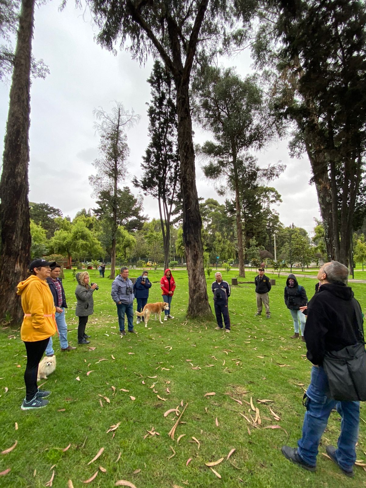 Historias del verde urbano: ¡Pajareando por los bosques urbanos!