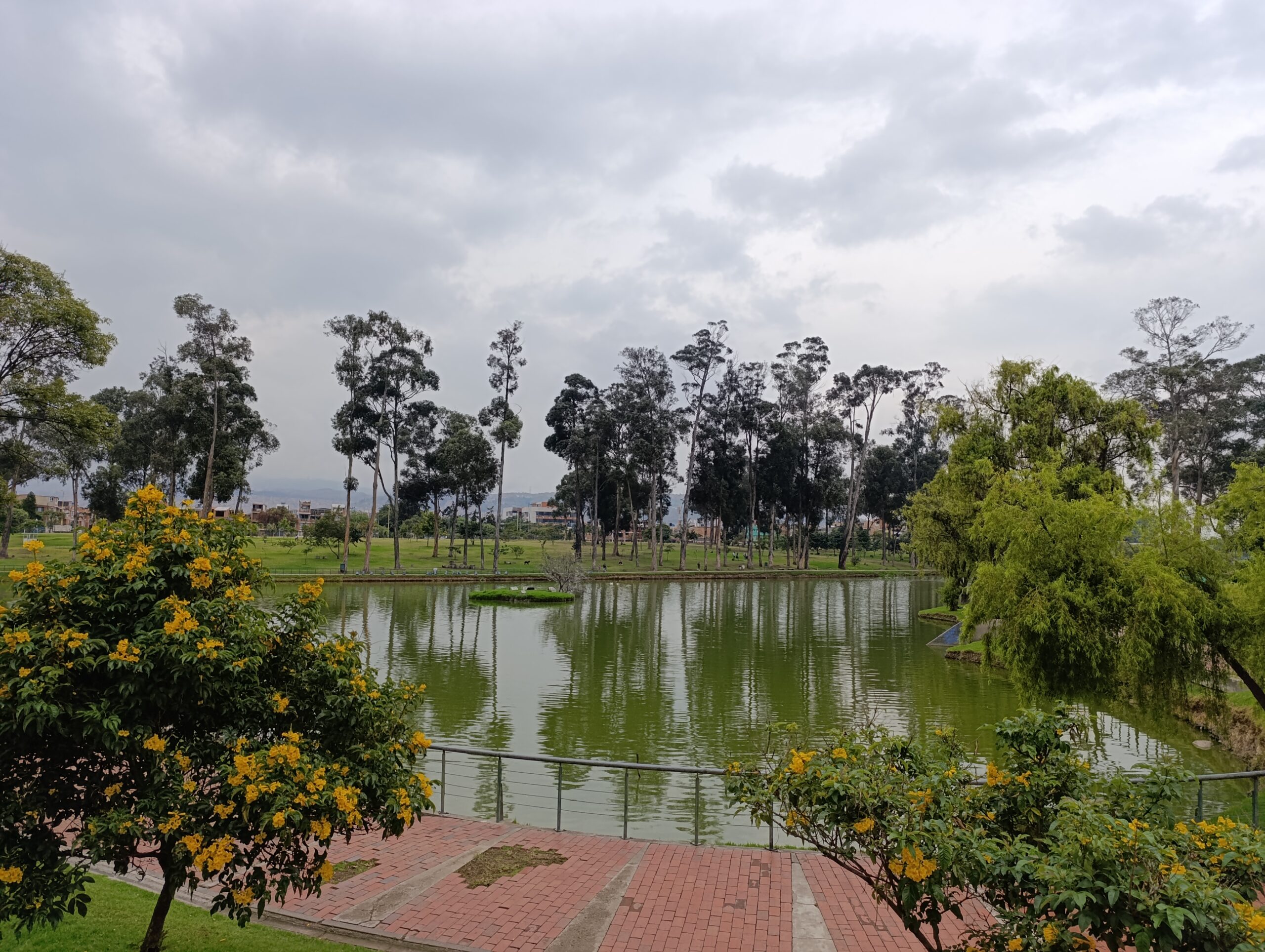 Historias del verde urbano : Cocreando el nuevo verde del bosque urbano Timiza