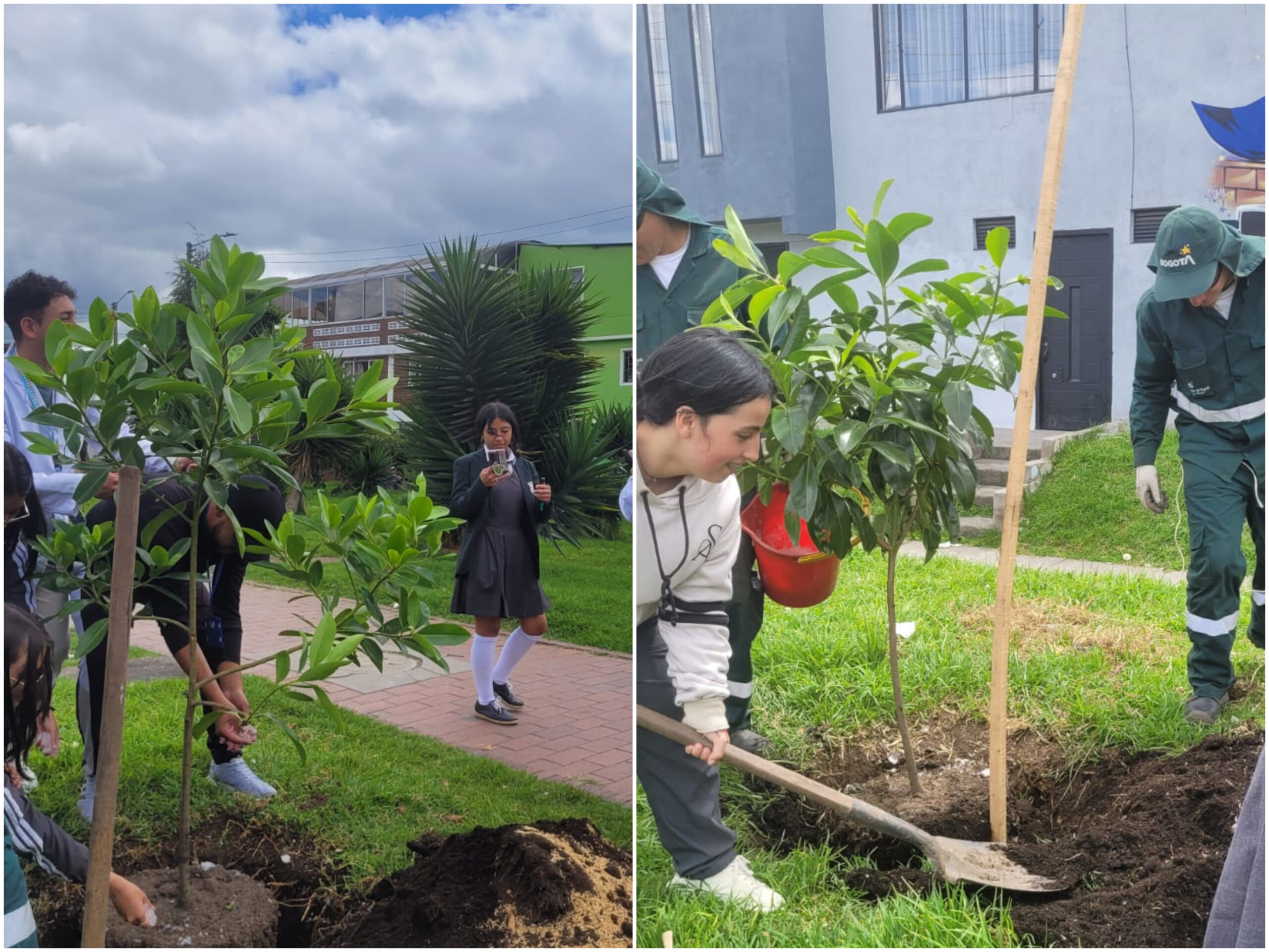 Historias del verde urbano: Estudiantes de colegio se convirtieron en guardianes del arbolado de Kennedy